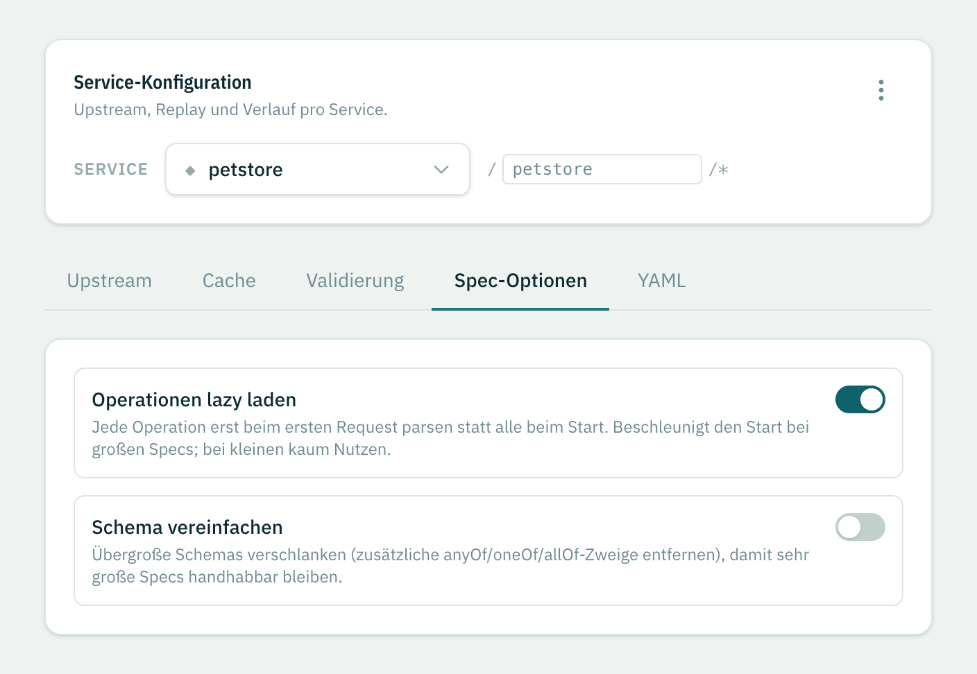 Der Tab Spec-Optionen mit den Schaltern Operationen lazy laden und Schema vereinfachen