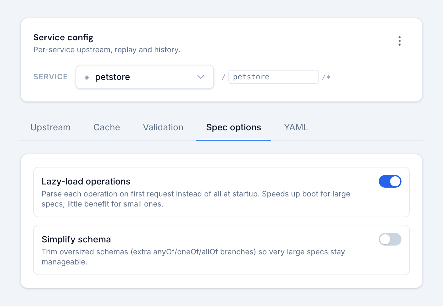 The Spec options tab with lazy-load and simplify schema toggles