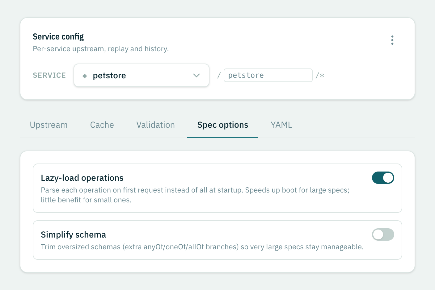 The Spec options tab with lazy-load and simplify schema toggles
