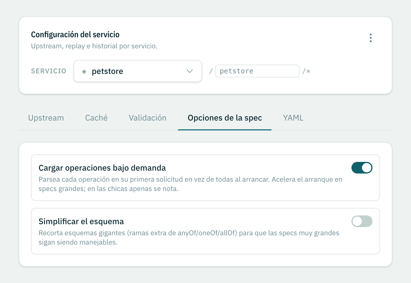 La pestaña Opciones de la spec con los interruptores de cargar bajo demanda y simplificar el esquema