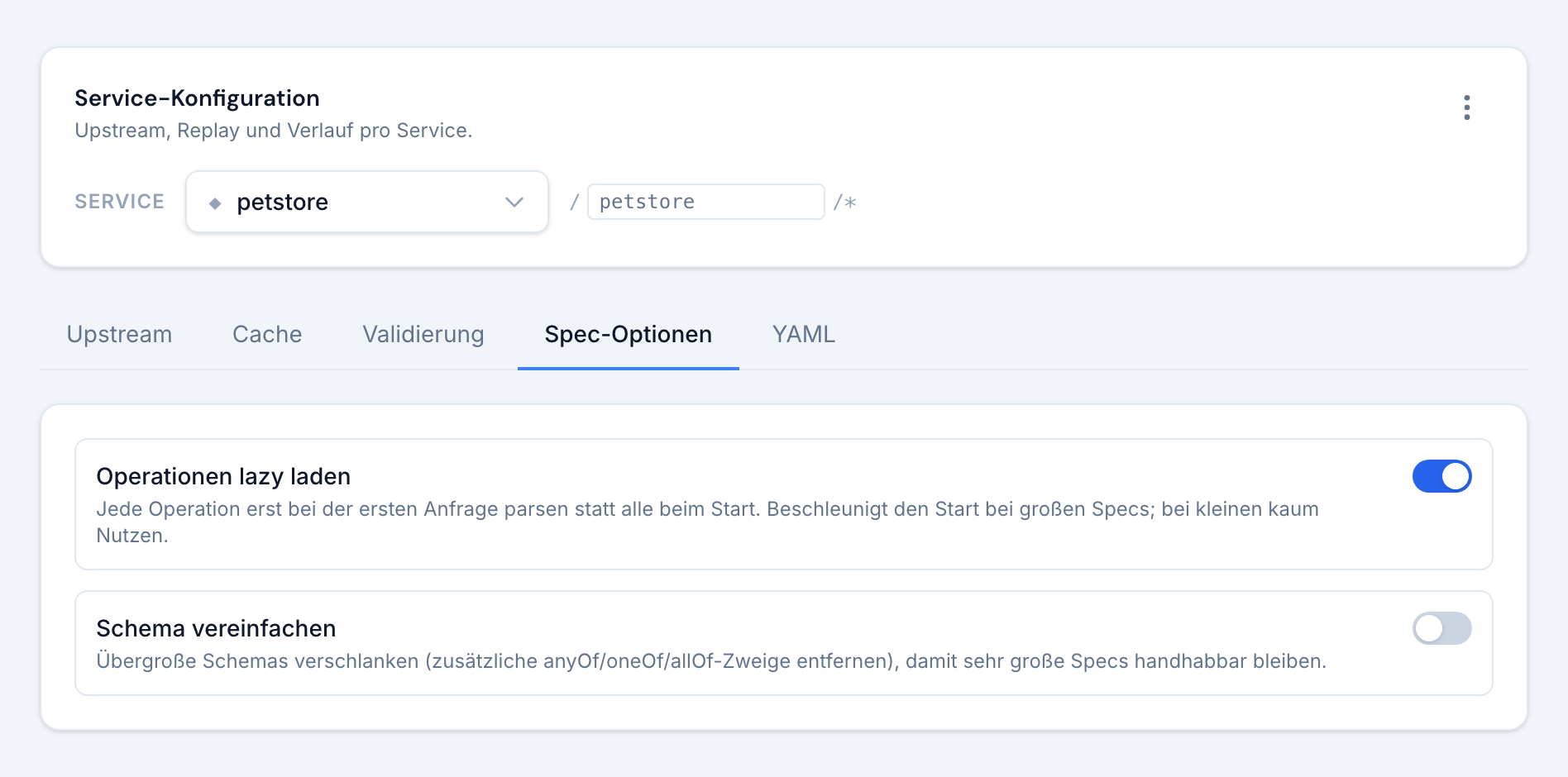 Der Tab Spec-Optionen: Operationen lazy laden und Schema vereinfachen