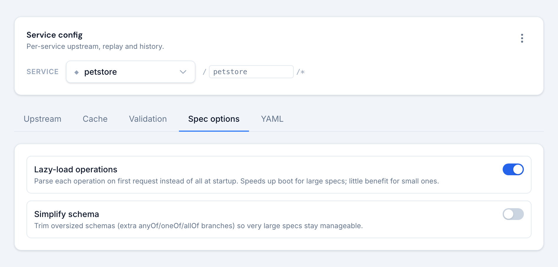 The Spec options tab: lazy-load operations and simplify schema toggles