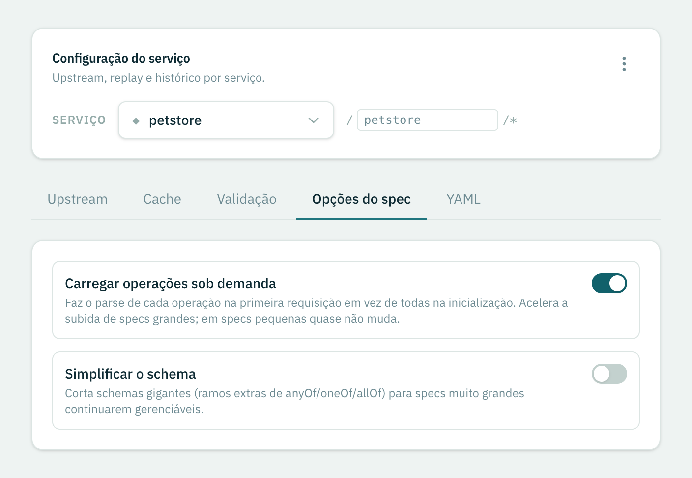A aba Opções do spec: as chaves de carregar operações sob demanda e simplificar o schema