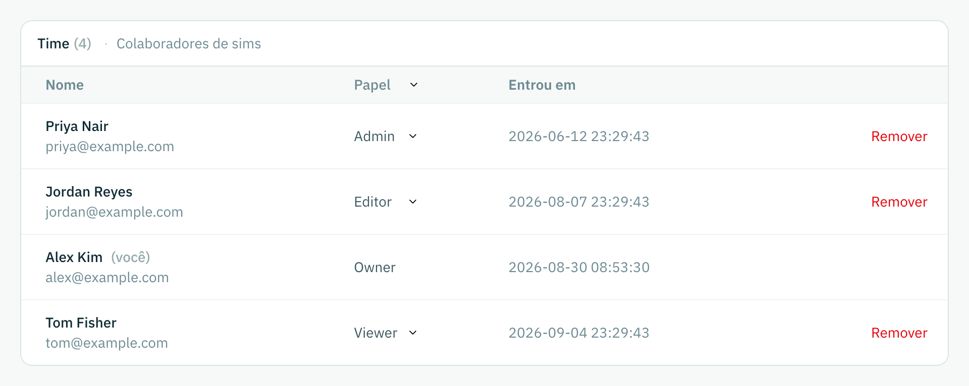 A aba Membros: quatro pessoas com os papéis e as datas de entrada delas, e uma ação Remover por linha.