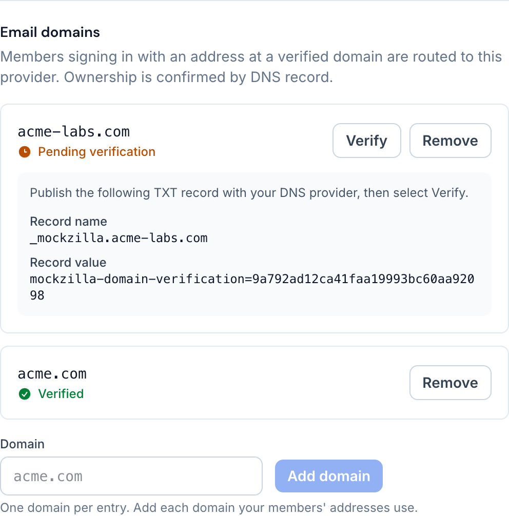 The email domains panel: one domain verified, one showing the TXT record it is waiting for.