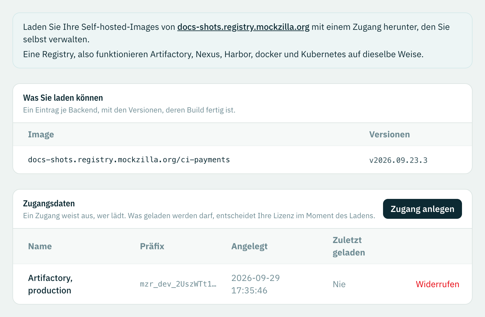Einstellungen, Image-Registry: der Hostname der Registry, das Image ci-payments mit seiner Version und die Zugangsdaten Artifactory, production, noch nie genutzt.