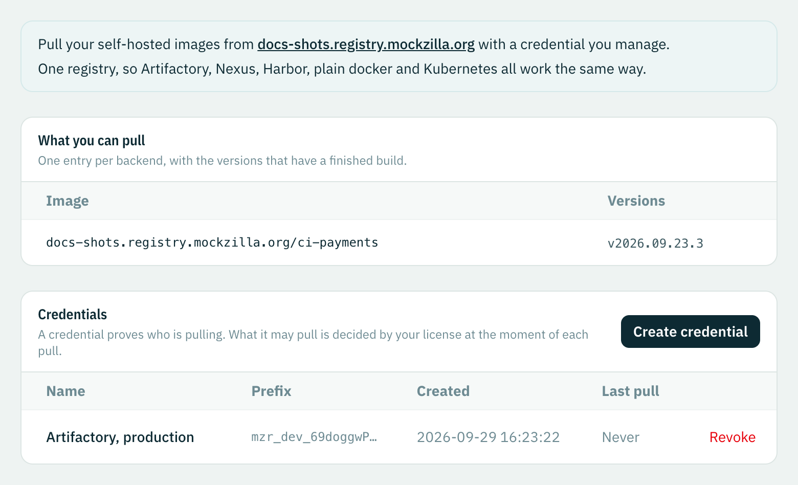 Settings, Image registry: the registry hostname, the image ci-payments with its version under What you can pull, and the credential Artifactory, production, never used yet.