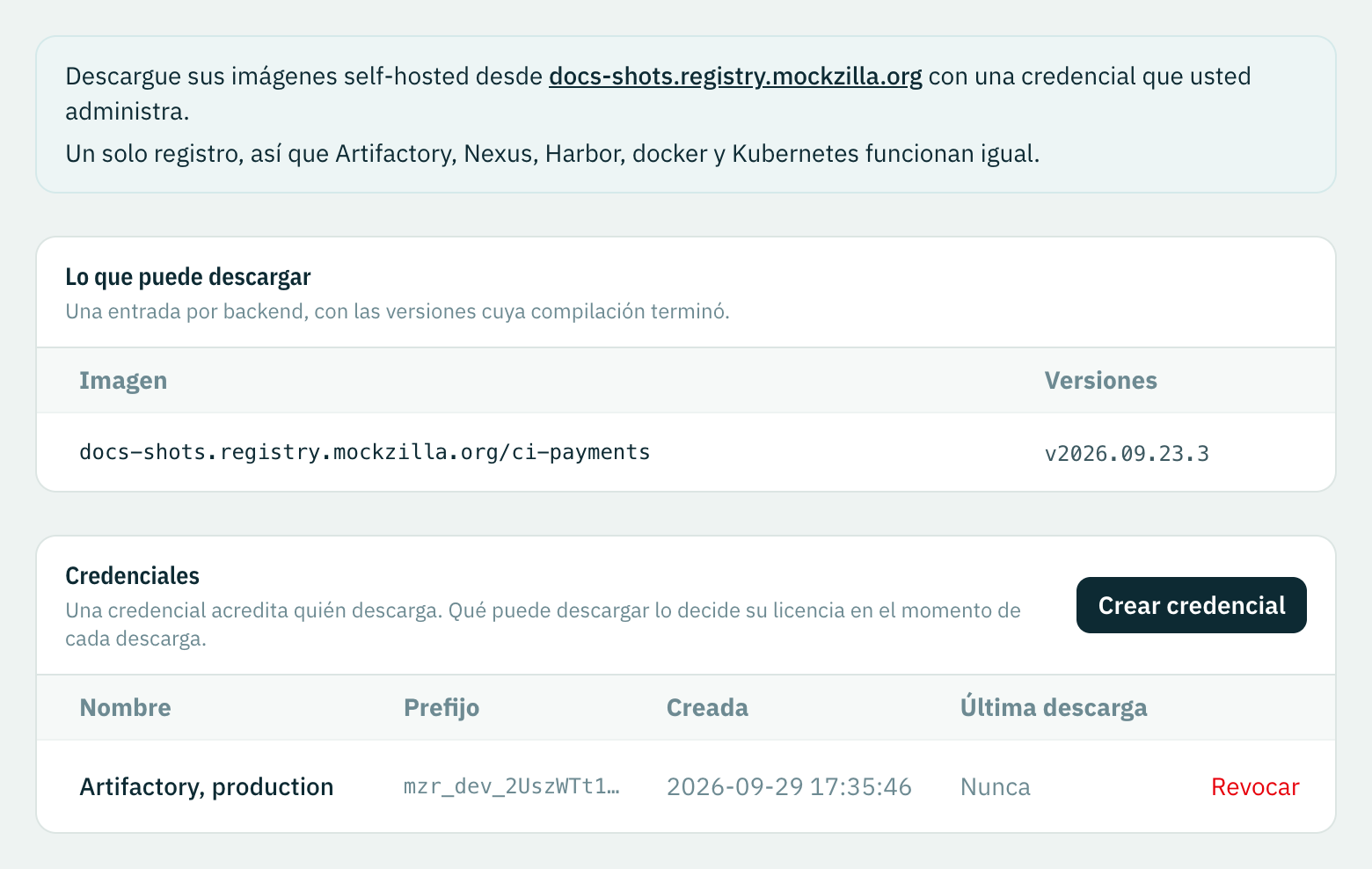 Configuración, Registro de imágenes: el nombre de host del registro, la imagen ci-payments con su versión y la credencial Artifactory, production, todavía sin usar.