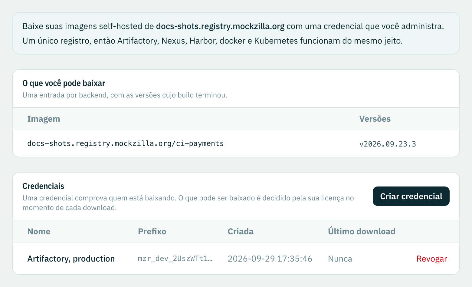 Configurações, Registro de imagens: o nome de host do registro, a imagem ci-payments com a versão dela e a credencial Artifactory, production, ainda sem uso.